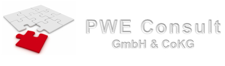 PWE Consult-Logo